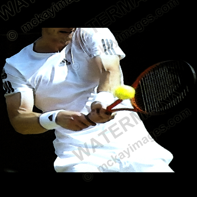 Andy Murray - Wimbledon Champion 2013