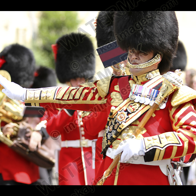 Coldstream Guards